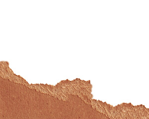 Torn paper with rough cardboard texture. 