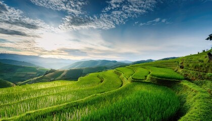 Fototapeta premium serene rice terrace with lush green layers and tranquil skyserene rice terrace with lush green layers and tranquil sky