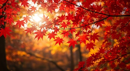 Crimson Sunlit Embrace AI Generated