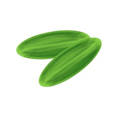 cucumber isolated on white background
