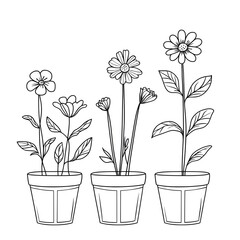 Continuous one line drawing of flowers in pots