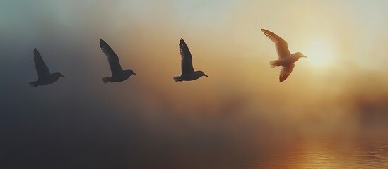 Silhouette of birds flying across the sunlit sky at dawn