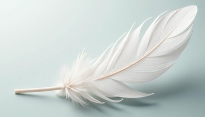 Naklejka premium Delicate white feathers on pristine background, pastel, air, soft