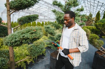 A african american young gardener cuts a tree with scissors. Gardening and tree shop concept