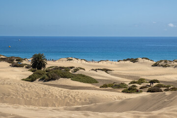 Sand dunes and Atlantic ocean, Gran Canaria, Spain