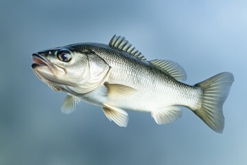 A realistically rendered fish swimming in a cool toned environment