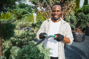 A african american young gardener cuts a tree with scissors. Gardening and tree shop concept