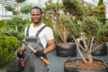 African american Garden worker trimming trees with scissors. garden shop