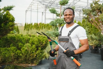 Garden Pruning Works to Maintain the Appearance of Shrubs, Bushes, Trees and Other Plants....