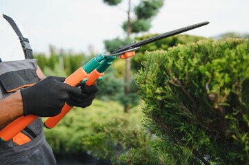 african american male garden worker works