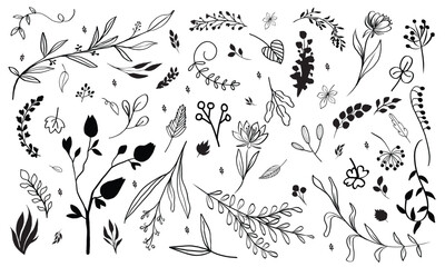 Hand drawn seamless pattern with leaves, branch. Vector wedding, natural, rustic paper on white background.