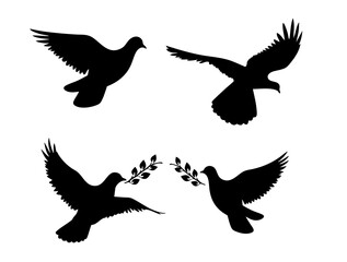 Vector collection of peaceful doves with olive branches, simple and classic design isolated on white background 