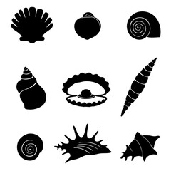 Vector silhouette collection of sea shells and pearl shell isolated on white background 