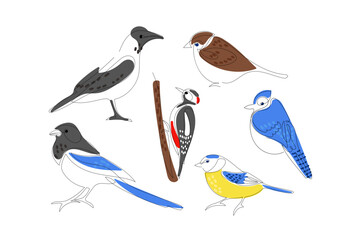 Bird line drawing set. One continuous line drawing birds with color spots, Hand Drawn Cute Birds Vector sketch icons. Set of ink drawing birds. Urban and forest birds. Black and White Design elements © Елена Кутузова