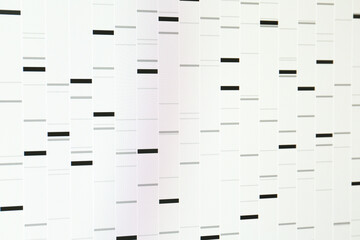 DNA analysis. Data with genetic information as background, closeup