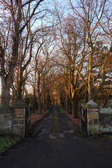 Throckley Newcastle UK: 16th Jan 2025: The grand treelined entrance to Throckley Hall on sunny winter morning