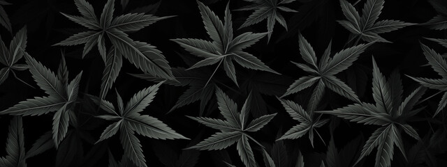 Dark Cannabis Leaves Pattern On Black Background