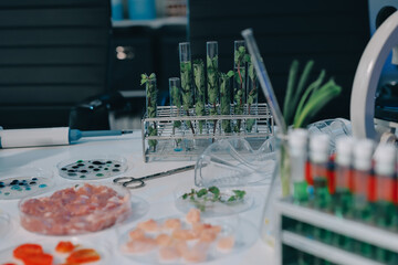Team Asian scientists in a lab conducting food research using a microscope and lab equipment, showcasing innovation in food science and biotechnology