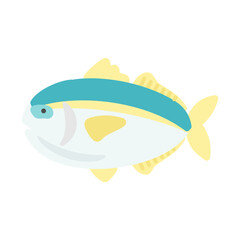 ブリ  イラスト