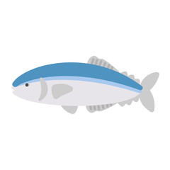 サンマ  イラスト