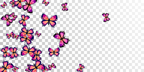 Tropical purple butterflies abstract vector illustration. Spring pretty insects. Wild butterflies abstract baby background. Sensitive wings moths patten. Nature creatures.