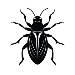 Insect Vector Illustration Art.