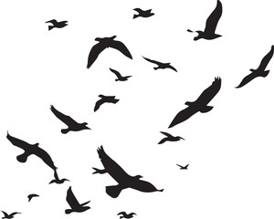 Obraz premium birds in the sky vectors