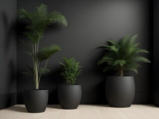 Obraz premium Serene indoor oasis featuring three lush palm plants in sleek black pots against a dramatic dark wall, creating a minimalist yet vibrant atmosphere.