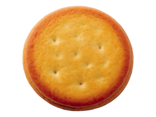 A perfectly baked round cracker, golden-brown and subtly textured, sits against a bright white backdrop.