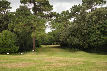 Outdoor green grass field with a path surrounded by trees ideal for hiking and walking in nature. Concept nature, hiking, countryside, mountain.