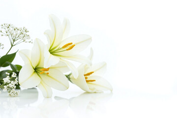 bunch of white lilies on a white background © CoveRipple