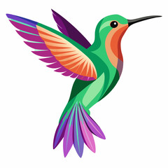 Obraz premium hummingbird