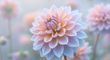 Close-up of Polished Copper Acupuncture Needles in Skin Under Soft Lighting