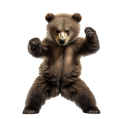 close up of a bear cub