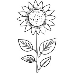 Farm theme, A simple line drawing of a sunflower with leaves on a stem. Outline for coloring .