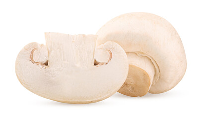 Mushroom champignon