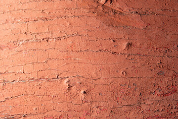 coral texture background, for presentation, for graphic design, interior design