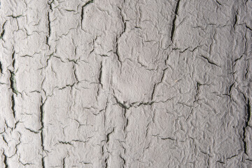 abstract white texture for background, for presentation