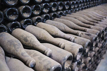 Old wine bottles stored in a rustic cellar, showcasing years of aging
