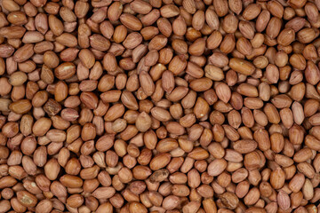 Raw brown peanuts close-up view from above