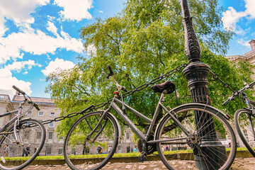 Fototapeta premium Trinity College Dublin with Parked Bicycle on Cobblestone Path
