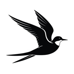 Silhouette of a Flying Bird.