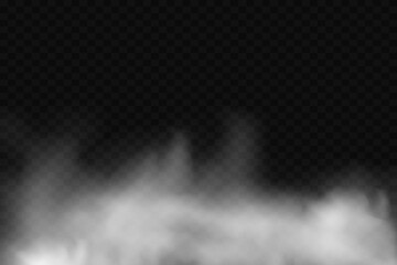 Fog effect. Smoke cloud on transparent background. Vector illustration.