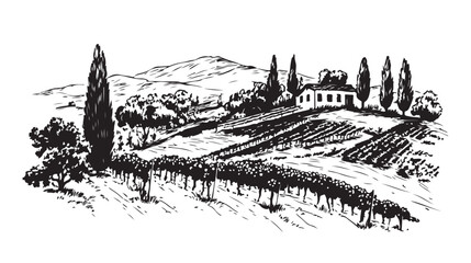 Vineyard landscape with mountains and building on the hill.	
