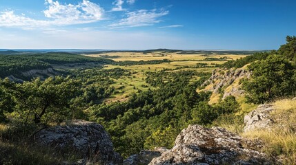 Expansive vista from a rocky outcrop overlooking a valley. Lush green forests, a golden-toned plain, and a distant horizon