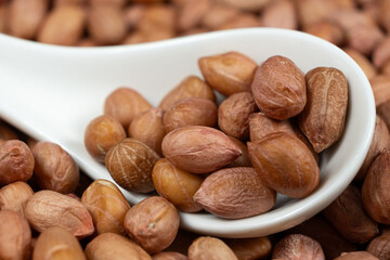 Raw peanut kernels in brown peel in a spoon close-up.