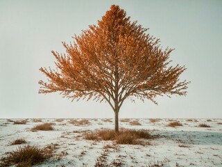 Solitary Autumn Tree in a Minimalist Landscape