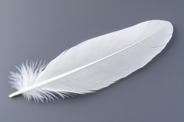 A single white feather resting on a dark background, emphasizing its softness and detail