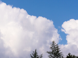 春の空の印象的な雲アップ11