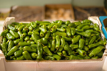 selling green peppers at a neighborhood market